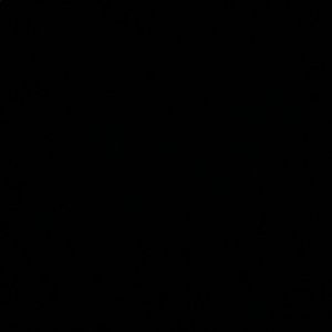 Meet your Posher, Coup